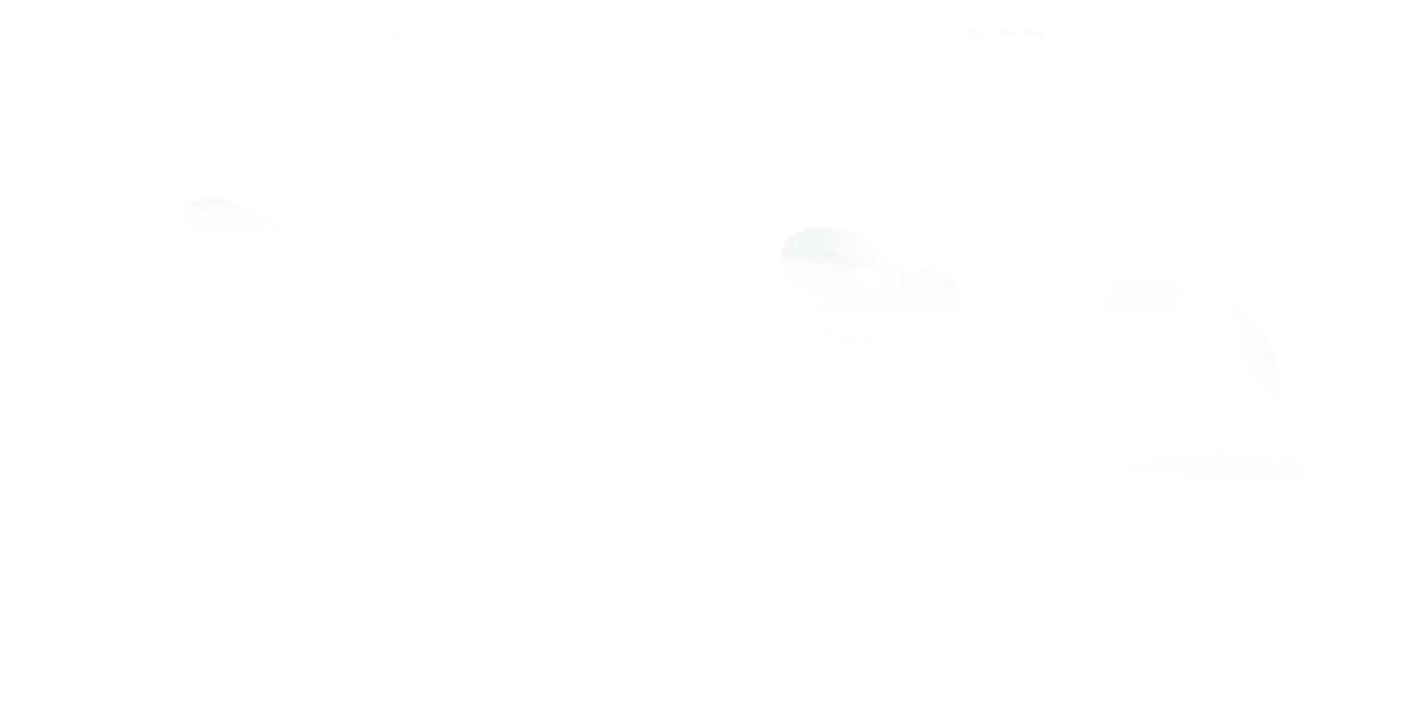 もりさん MORISAN KYOTO White